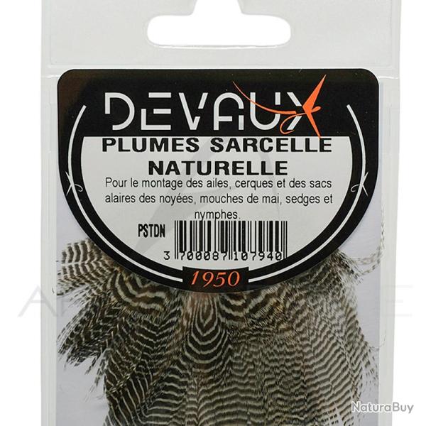 Sarcelle DEVAUX naturelle