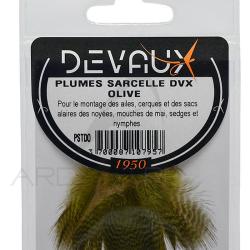 Sarcelle DEVAUX teint&eacute; olive