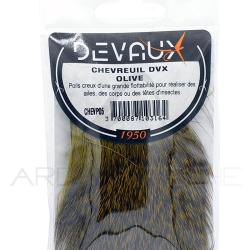 Chevreuil DEVAUX Olive