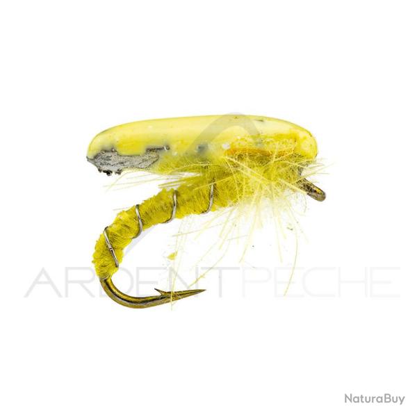 Nymphe Alan Campbell SBN 060 jaune H16