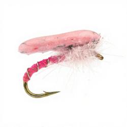 Nymphe Alan Campbell SBN 061 rose H14