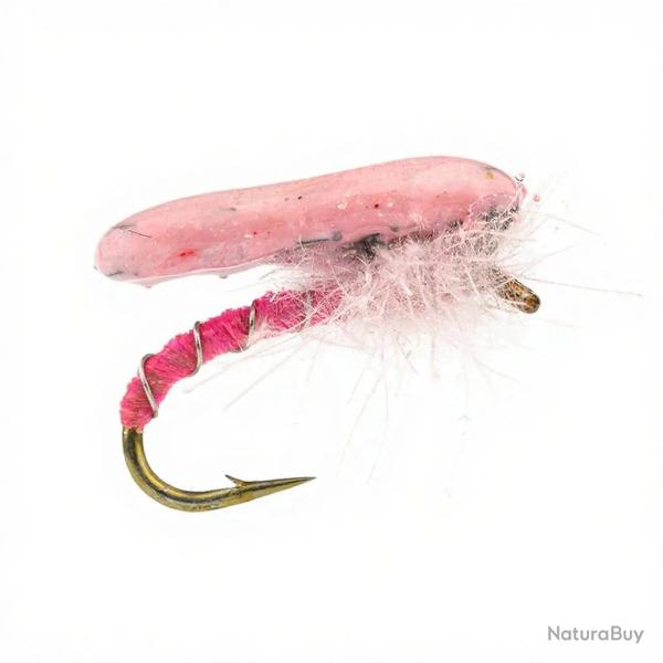 Nymphe Alan Campbell SBN 061 rose H14