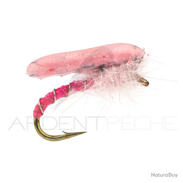 Nymphe Alan Campbell SBN 061 rose H16