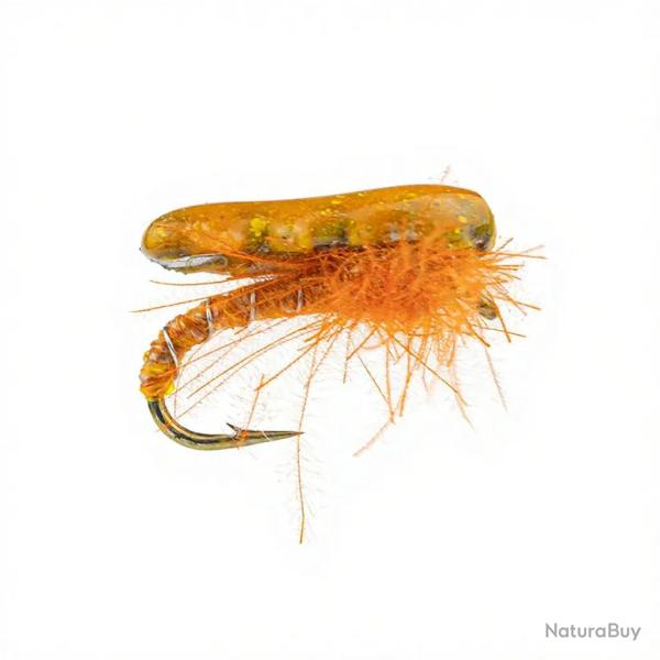 Nymphe Alan Campbell SBN 062 orange H14
