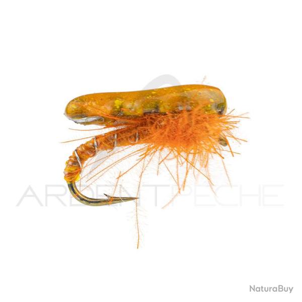 Nymphe Alan Campbell SBN 062 orange H16