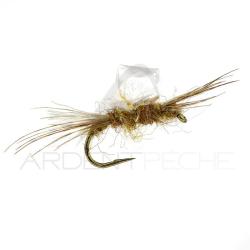 Sub-Sedge Spent SBN Alan Campbell H16