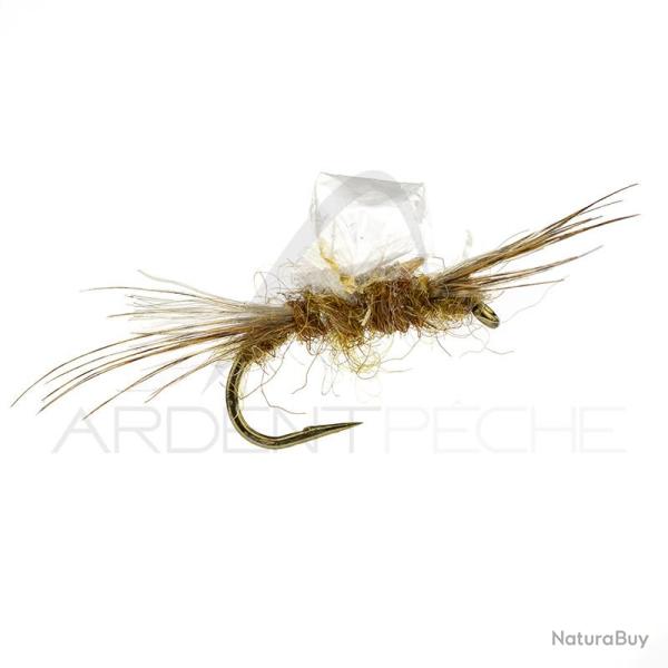 Sub-Sedge Spent SBN Alan Campbell H16