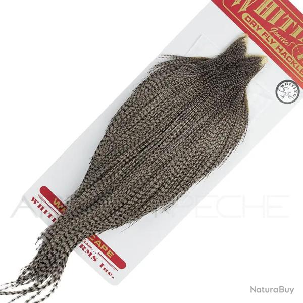Cous de coq WHITING Silver Grizzly teint� gris