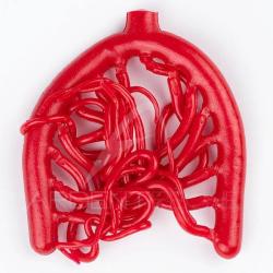 Mini Wormlast DEVAUX Rouge