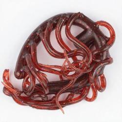 Mini Wormlast DEVAUX Marron