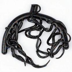 Mini Wormlast DEVAUX Noir