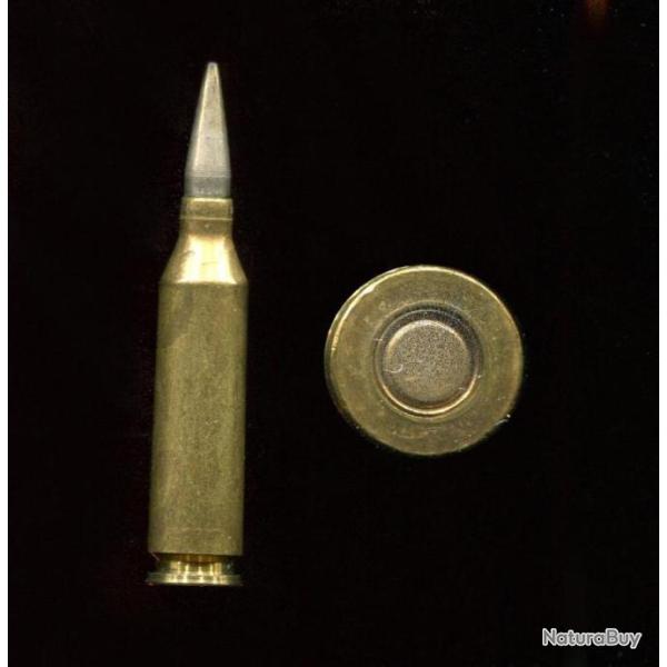 5.6 x 48 EIGER Suisse - RARE - balle nickel pointue - �tui laiton gros bourrelet - grosse amorce
