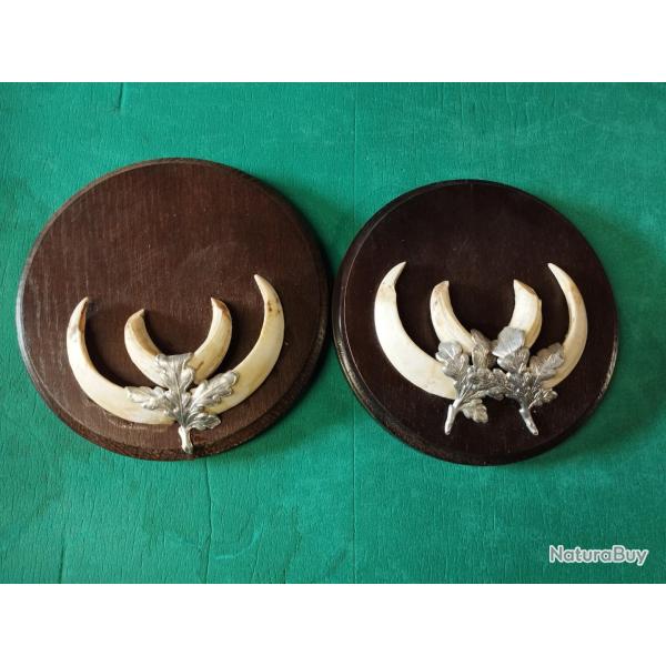 SUR ECUSSONS BOIS 2 TROPHEES DEFENSES GRES DE SANGLIER