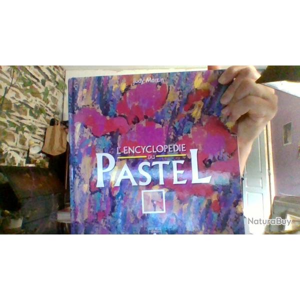 l'encyclopedie du pastel par Judy Martin - Fleurus Idees -