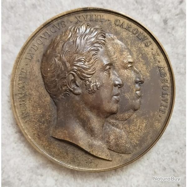 M�daille en BRONZE CHARLES X 1825 Remplac .Statue de Louis XVIII Lyon Bellecour