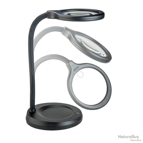 CARSON DeskBrite 300