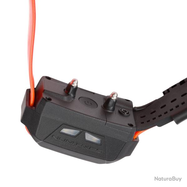 Collier de localisation CANICOM GPS MINI avec stimulation