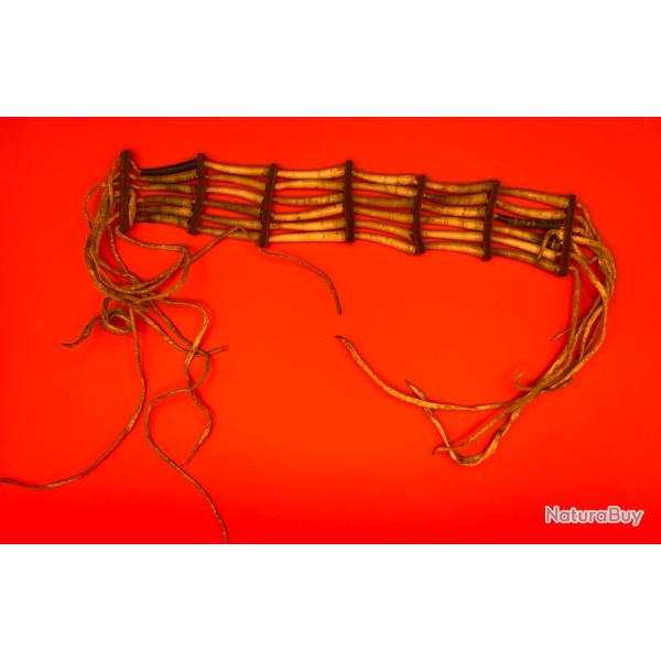 Magnifique collier type chokker indien des plaines  en dentalium au moins 50 ans vieille collection