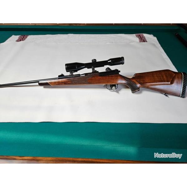 Carabine Mauser 66 S