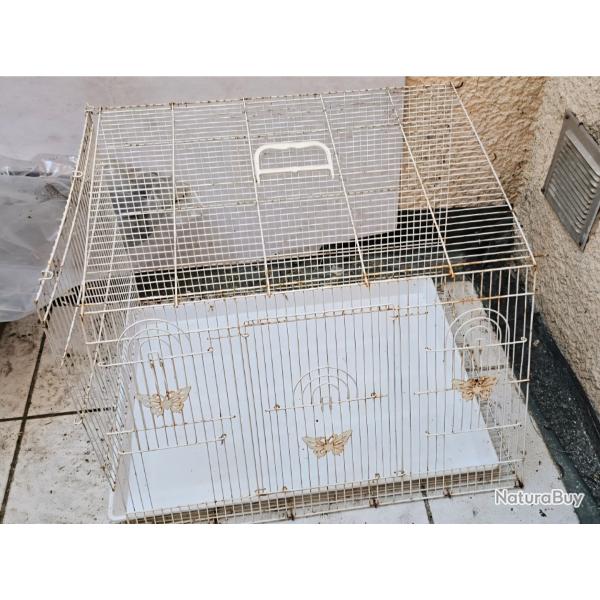 Cage oiseaux