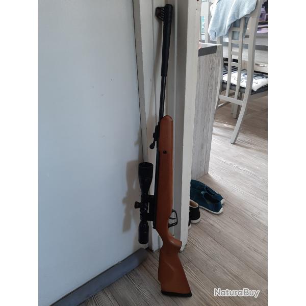 Carabine  air comprim