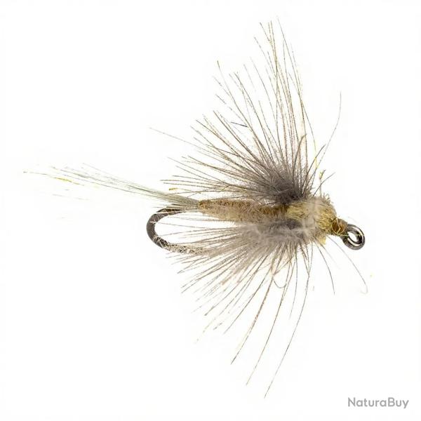 Mouche STS CDC cr�me H14