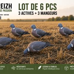 PACK  6 FORMES DE PIGEONS SILHOUETTES