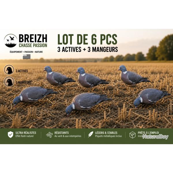 PACK  6 FORMES DE PIGEONS SILHOUETTES
