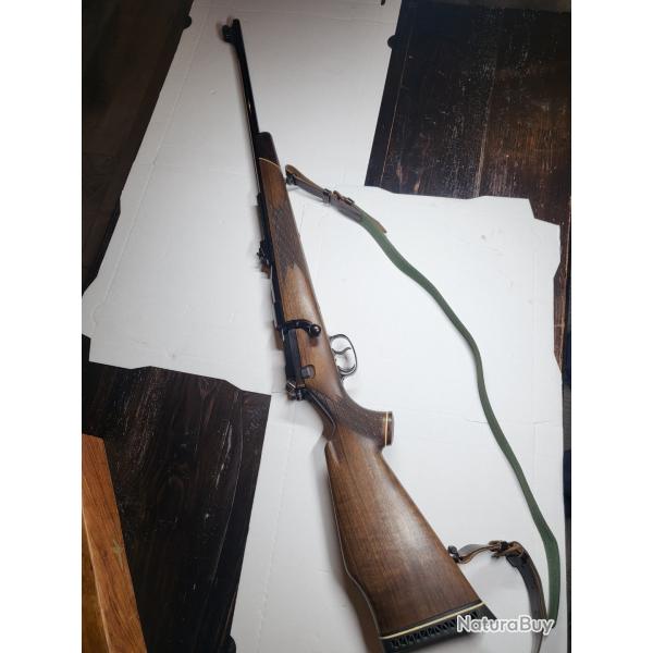 Carabine Mauser M 66 S