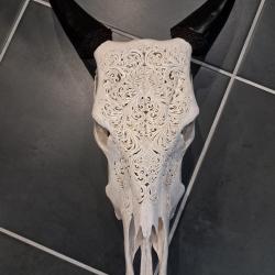Cr&acirc;ne de vache sculpt&eacute; #0710(1)