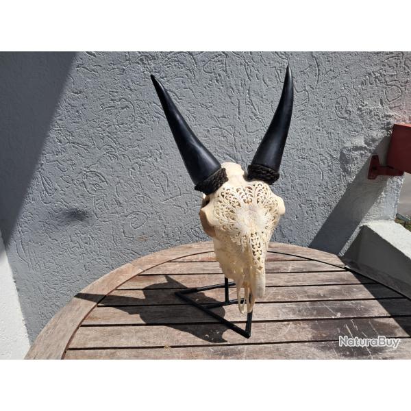 Crne de chvre sculpt sur socle #1