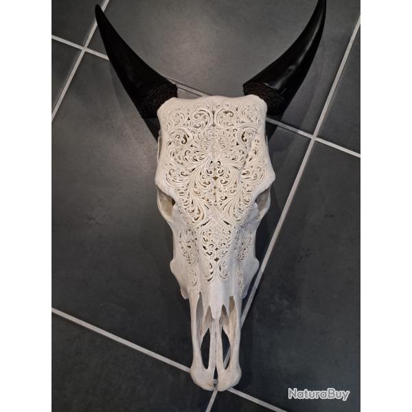 Cr�ne de vache sculpt� #0710(1)