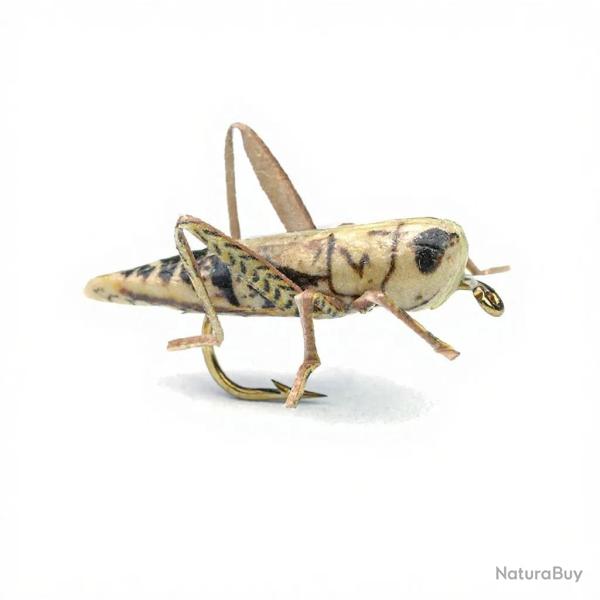 Mouche r�aliste Sauterelle tan H10