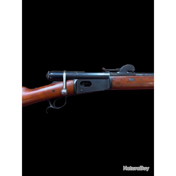 Magnifique Vetterli M81