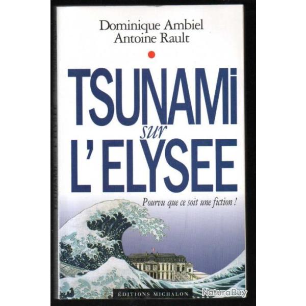 tsunami sur l'�lys�e pourvu que ce soit une fiction! par  dominique ambiel et antoine rault