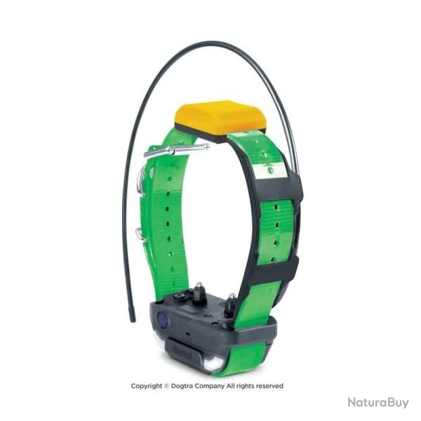 Collier suppl�mentaire Pathfinder 2 Dogtra
