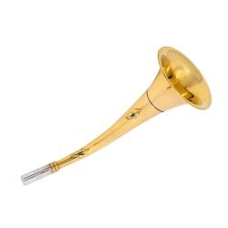 CORNE PAVILLON SANGLIER 50CM + SAUTOIR - 