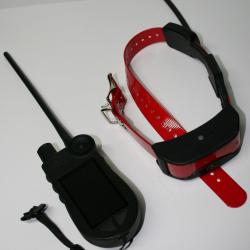 PACK SPORTDOG TEK 2.0 + COLLIER