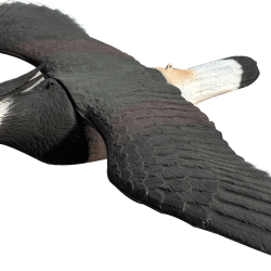 Appelant vanneau au vol SPORTPLAST