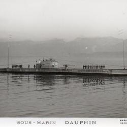 Carte Postale Ancienne  SOUS - MARIN  " DAUPHIN "  N&deg; 7901