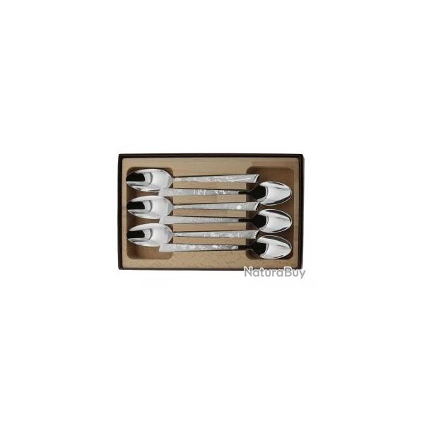 Coffret 6 cuillres de table Le Thiers par ROGER ORFEVRE 20cm Dcor Natura tout inox