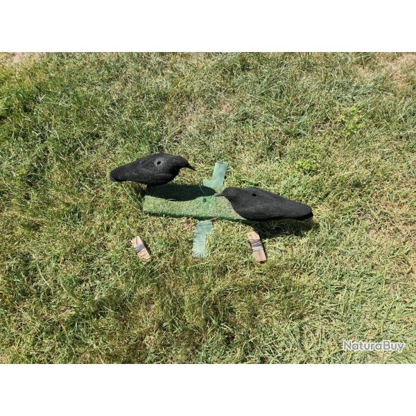 Leurre corvids  animer