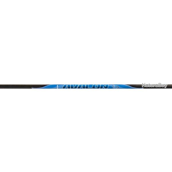 AVALON - Fl�che Carbone CLASSIC 4.2 (x12) 900 GOLD-ROUGE