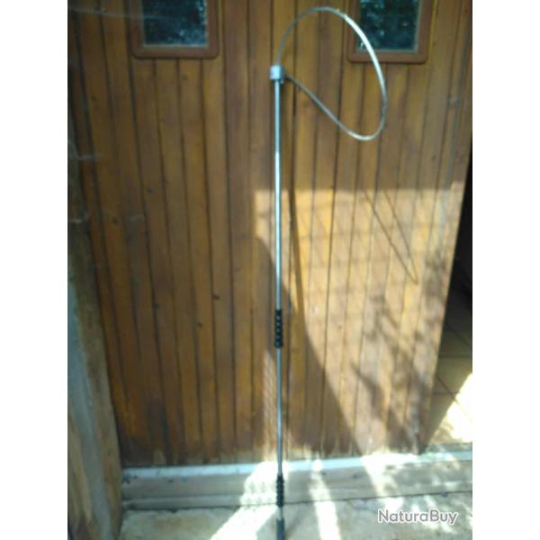 lasso de  capture chien