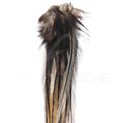 Plumes DEVAUX Lancette Pardo Fonc&eacute;