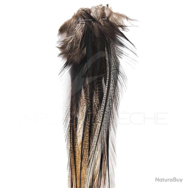 Plumes DEVAUX Lancette Pardo Fonc�