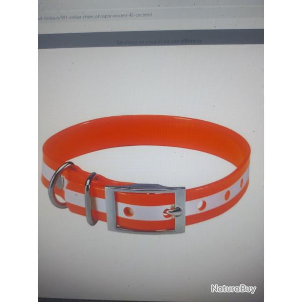 Collier pour chien phosphorescent 60cm