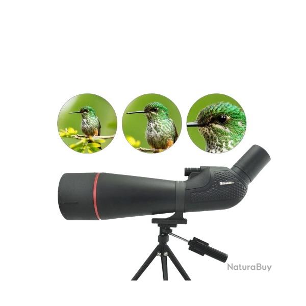 Visionking 20-60x80A Longue-vue Puissante HD Zoom 20-60x 80 Prisme BAK4 Observation Nature et Tir
