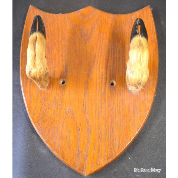 Beau Porte manteau chevreuil id�al chasseur