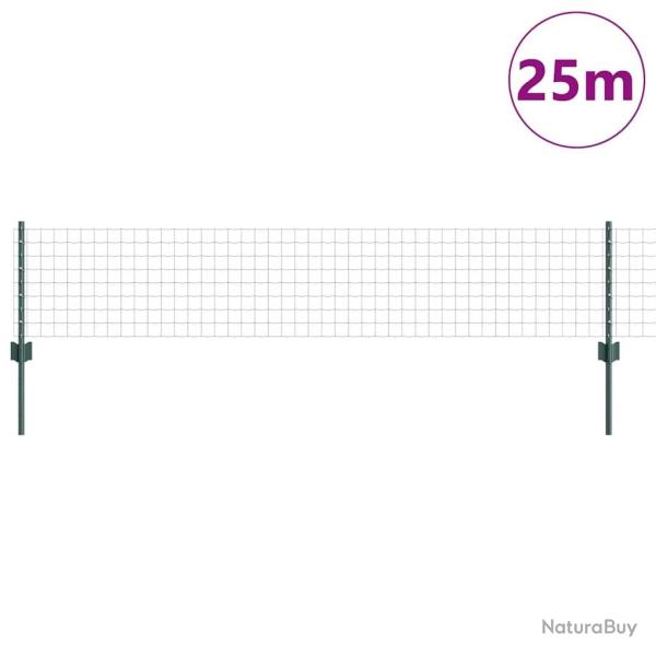 Cl�ture Euro avec 11 poteaux vert 0,4x25 m en acier
